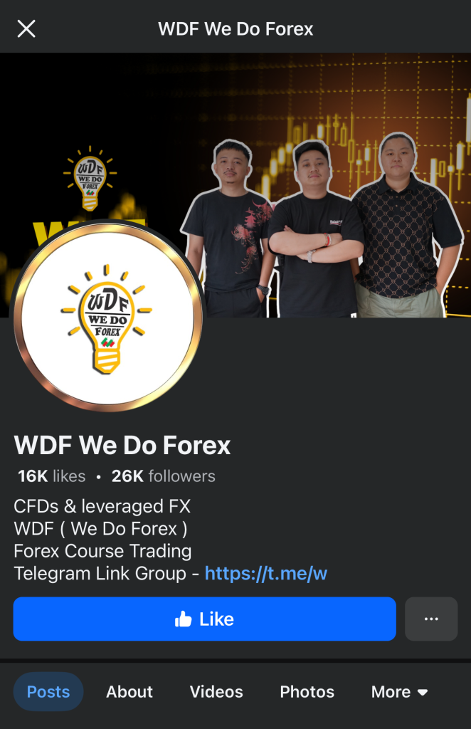 wdf-main-page-review